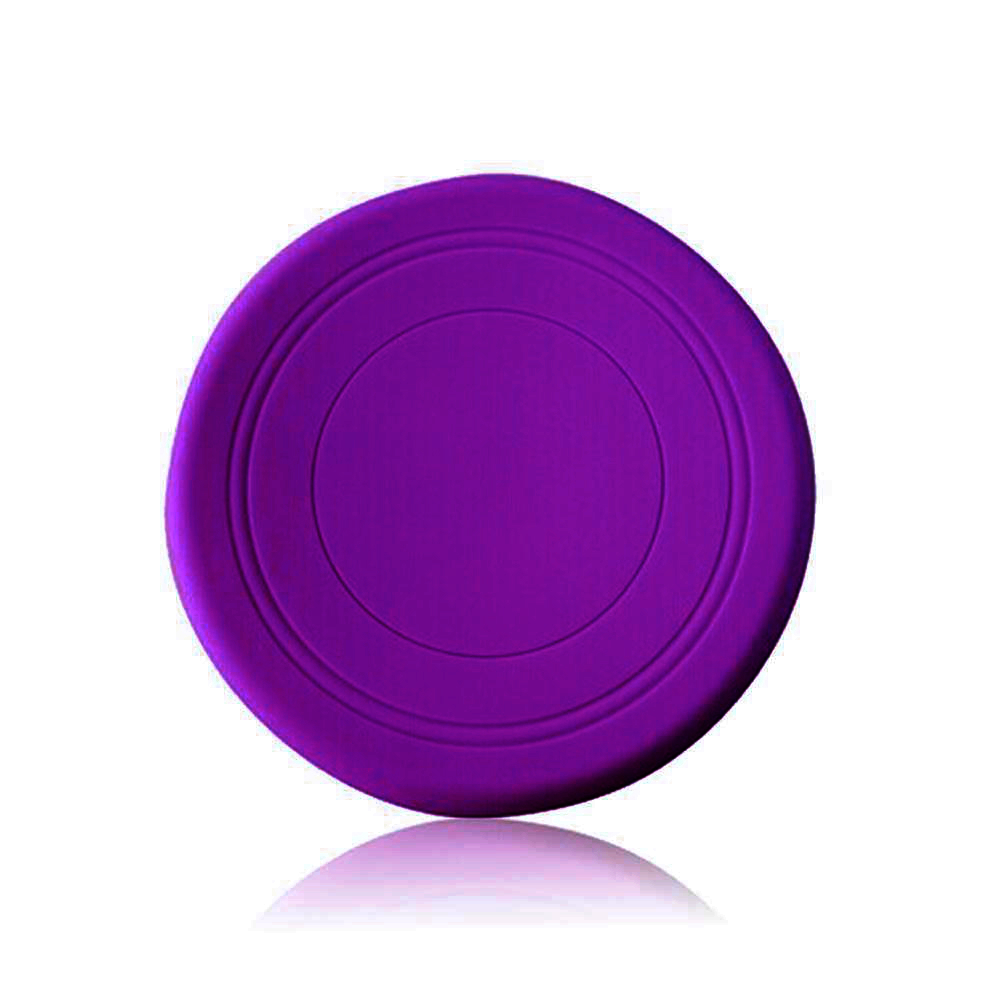 dog rubber frisbee