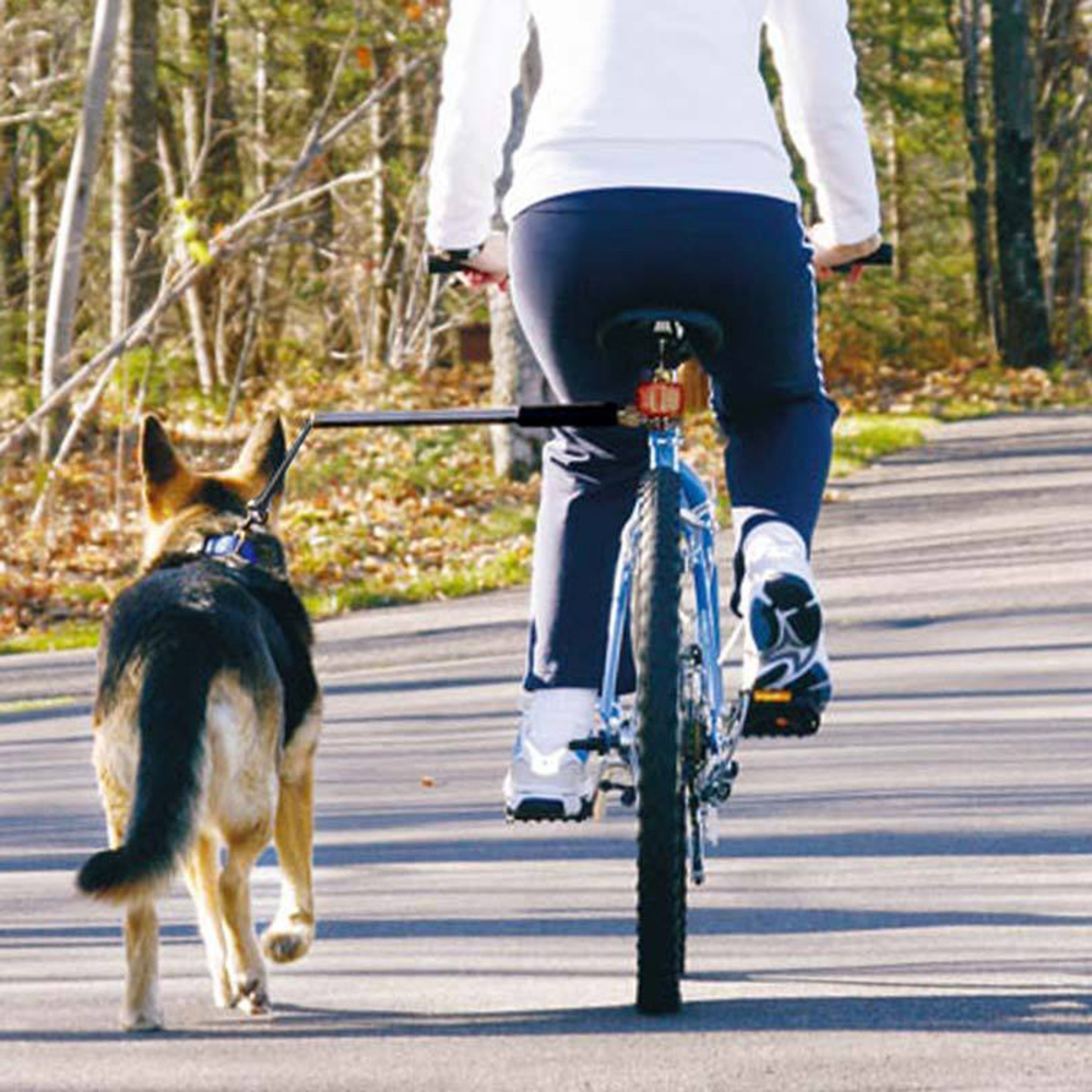 Ride your Bike With your Dog