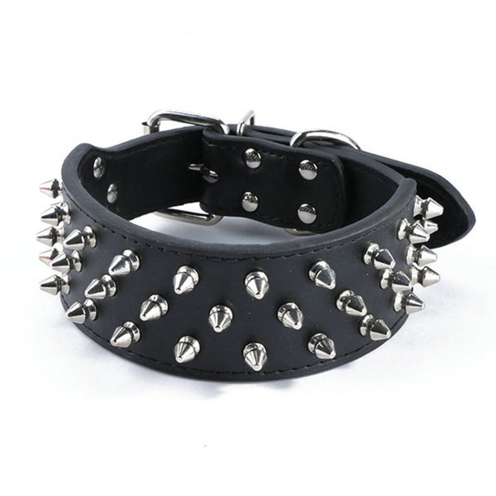 spike collar for small dogs