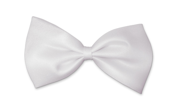 Adjustable Bow Tie Pet Kitten Dog Cat  Puppy Wedding Pet Collar [White]