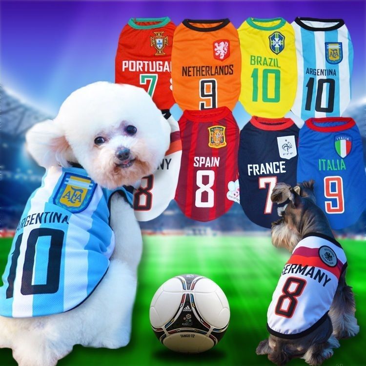 dogs in football jerseys