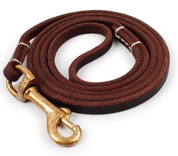 Dog Lead with Strong Brass Buckle [Length: 2 Meters]